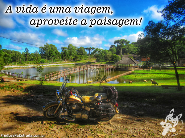 A vida é uma viagem, aproveite a paisagem! | Arvorezinha - Rio Grande do Sul - Brasil | FredLee Na Estrada