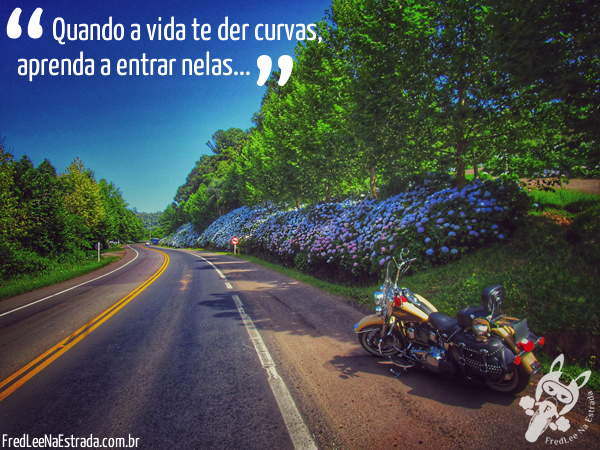 Quando a vida te der curvas, aprenda a entrar nelas... | Gramado - Rio Grande do Sul - Brasil | FredLee Na Estrada