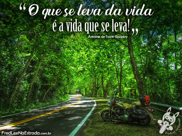 frases da estrada