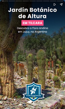 Jardín Botánico de Altura em Tilcara: Descubra a Flora Andina em Jujuy, na Argentina | FredLee Na Estrada