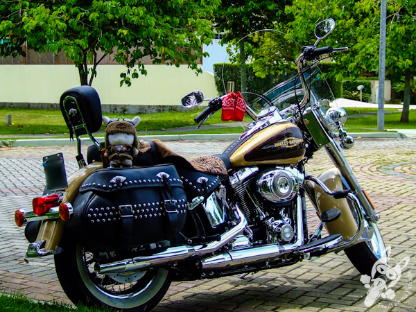 Harley-Davidson Heritage Softail Classic | FredLee Na Estrada
