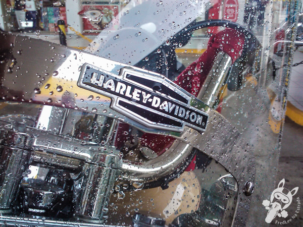 Harley-Davidson Heritage Softail Classic na chuva | FredLee Na Estrada