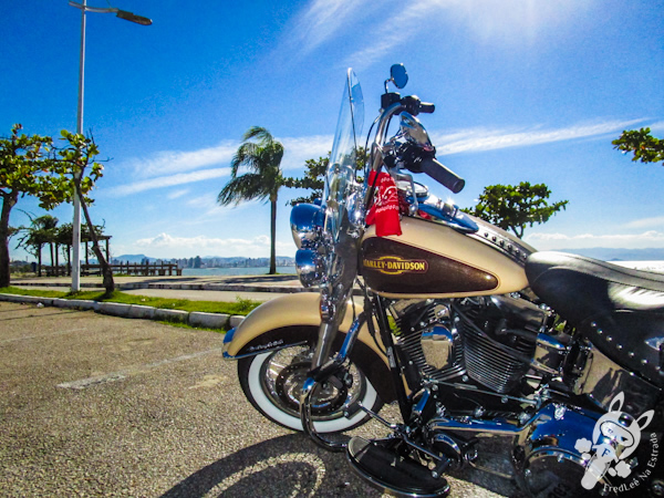 Harley-Davidson Heritage Softail Classic | Florianópolis - SC | FredLee Na Estrada