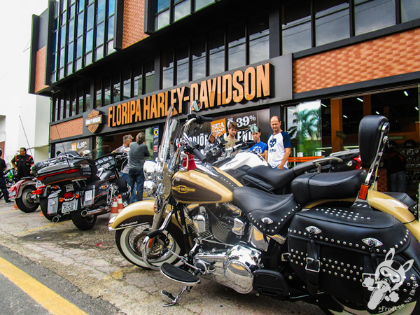 Floripa Harley-Davidson - Florianópolis - SC | FredLee Na Estrada