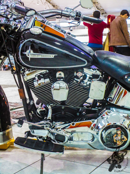 Harley-Davidson | Santa Catarina Custom Show | Itajaí - SC | FredLee Na Estrada