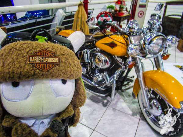 Harley-Davidson | Santa Catarina Custom Show | Itajaí - SC | FredLee Na Estrada