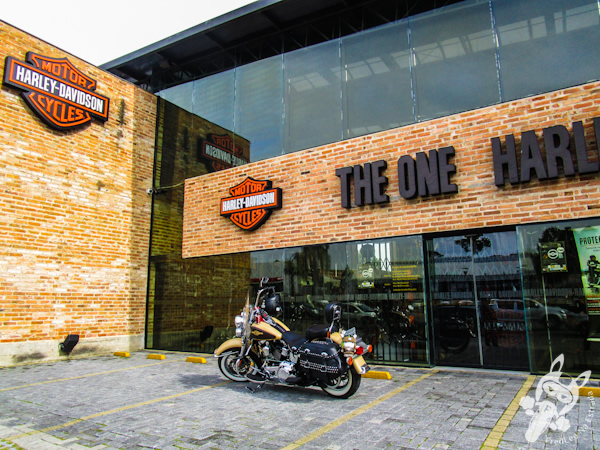 The One Harley-Davidson | Curitiba - PR | FredLee Na Estrada