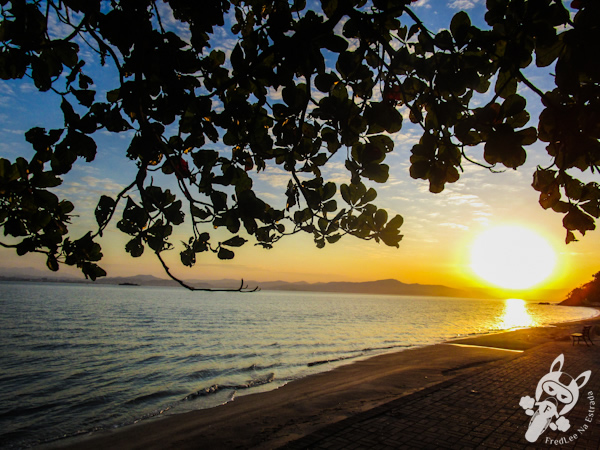 Pôr do sol na Praia do Cacupé | Florianópolis - SC | FredLee Na Estrada