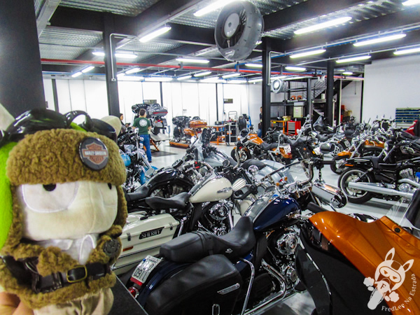 Floripa Harley-Davidson | Florianópolis - SC | FredLee Na Estrada