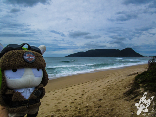 Praia da Armação | Florianópolis - SC | FredLee Na Estrada