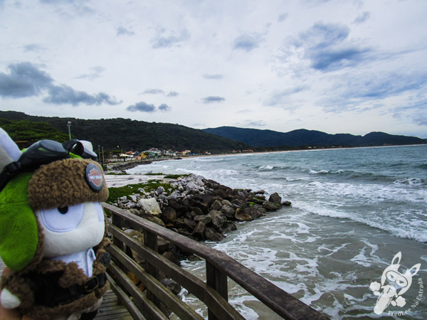 Praia da Armação | Florianópolis - SC | FredLee Na Estrada