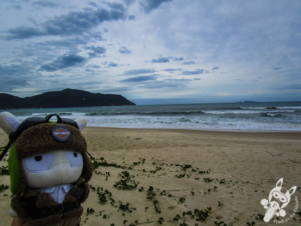 Praia da Solidão | Florianópolis - SC | FredLee Na Estrada