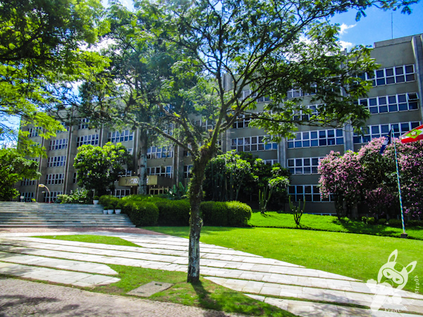 Centro Administrativo da Tigre S/A | Joinville - SC | FredLee Na Estrada