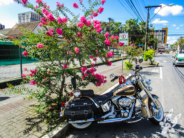 Harley-Davidson Heritage Softail Classic 2014 | Joinville - SC | FredLee Na Estrada