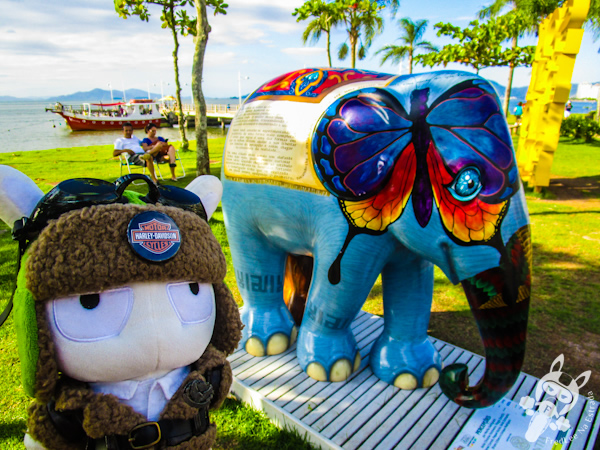Percepções - Elephant Parade - Florianópolis - SC | FredLee Na Estrada