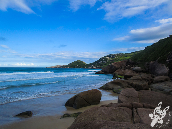 Praia Mole - Florianópolis - SC | FredLee Na Estrada