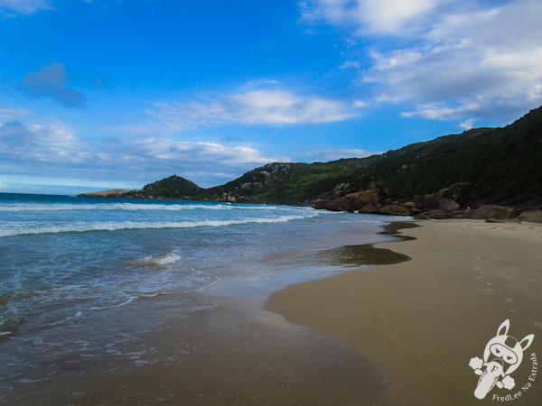 Praia Mole - Florianópolis - SC | FredLee Na Estrada