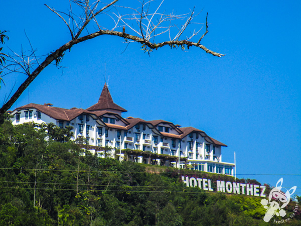 Hotel Monthez | Brusque - SC | FredLee Na Estrada