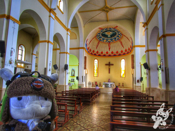 Parroquia San José Iglesia Catedral | Posadas - Misiones - Argentina | FredLee Na Estrada