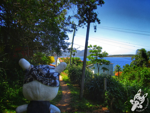 Trilha da Costa da Lagoa via Canto dos Araçás | Florianópolis - Santa Catarina - Brasil | FredLee Na Estrada