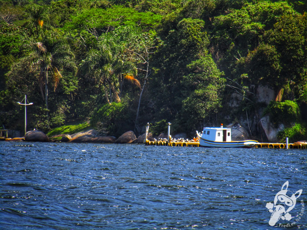 Transporte Hidroviário Cooperbarco - Lagoa da Conceição | Florianópolis - Santa Catarina - Brasil | FredLee Na Estrada