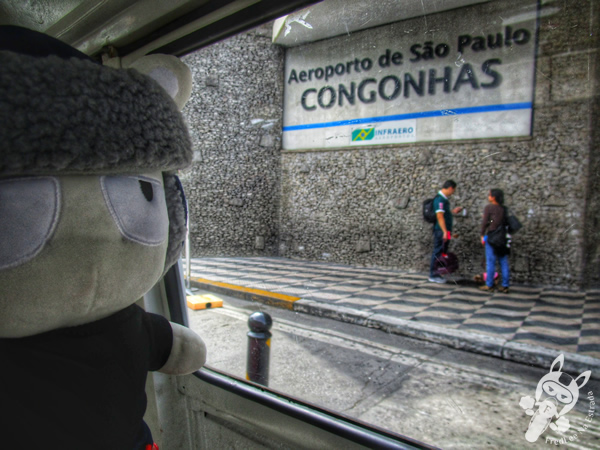 Aeroporto de São Paulo - Congonhas | São Paulo - São Paulo - Brasil | FredLee Na Estrada