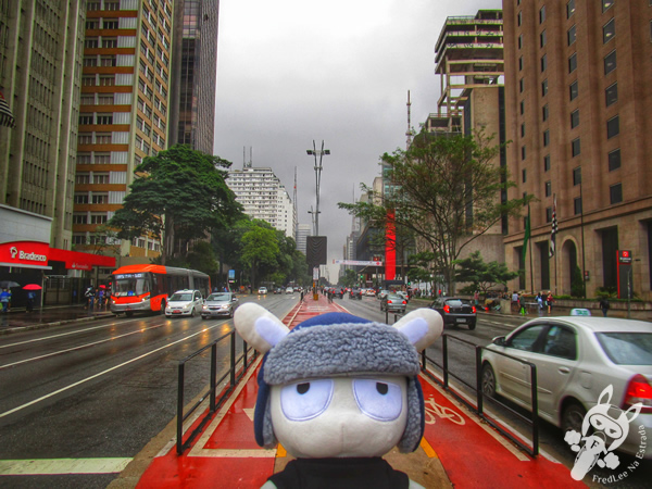 Avenida Paulista | São Paulo - São Paulo - Brasil | FredLee Na Estrada