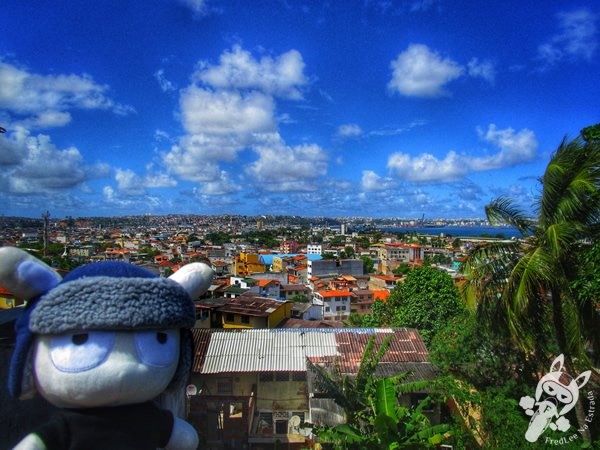 Salvador - Bahia - Brasil | FredLee Na Estrada