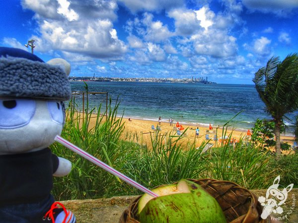 Praia da Boa Viagem | Salvador - Bahia - Brasil | FredLee Na Estrada