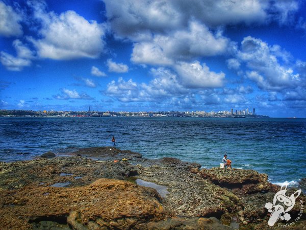 Ponta do Humaitá | Salvador - Bahia - Brasil | FredLee Na Estrada