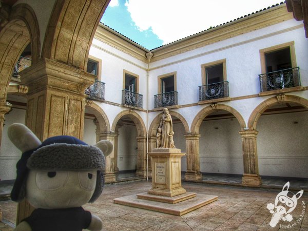 Museu da Misericórdia | Salvador - Bahia - Brasil | FredLee Na Estrada