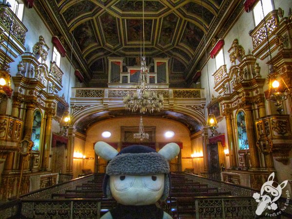 Igreja da Ordem Terceira Secular de São Francisco | Salvador - Bahia - Brasil | FredLee Na Estrada