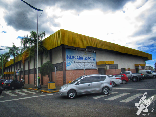 Mercado do Peixe | Itajaí - Santa Catarina - Brasil | FredLee Na Estrada