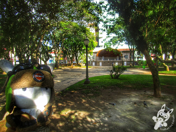 Praça Barão do Rio Branco | Ponta Grossa - Paraná - Brasil | FredLee Na Estrada