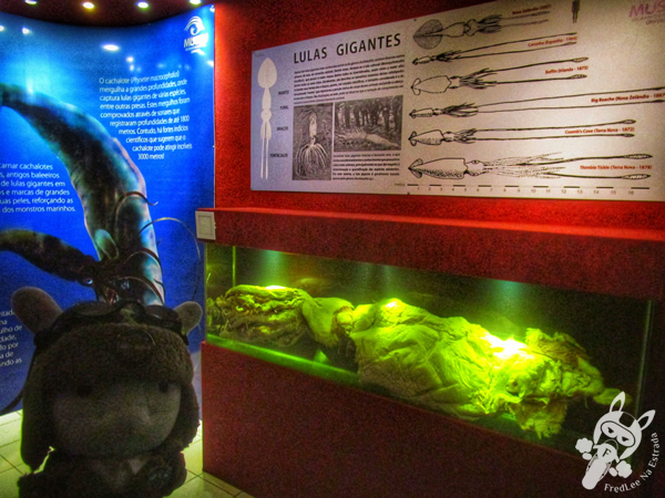 Museu Oceanográfico Univali - MOVI | Balneário Piçarras - Santa Catarina - Brasil | FredLee Na Estrada