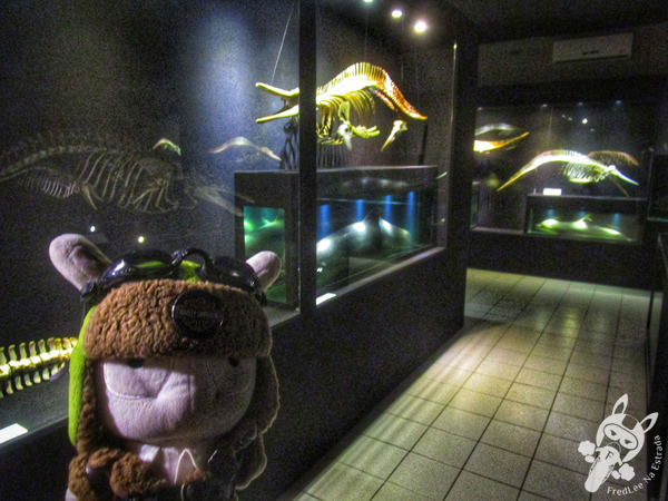 Museu Oceanográfico Univali - MOVI | Balneário Piçarras - Santa Catarina - Brasil | FredLee Na Estrada