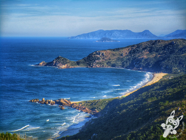 Trilha da Boa Vista - Trilha da Barra da Lagoa à Praia da Galheta | Florianópolis - Santa Catarina - Brasil | FredLee Na Estrada