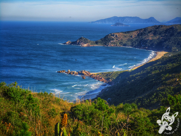 Trilha da Boa Vista - Trilha da Barra da Lagoa à Praia da Galheta | Florianópolis - Santa Catarina - Brasil | FredLee Na Estrada