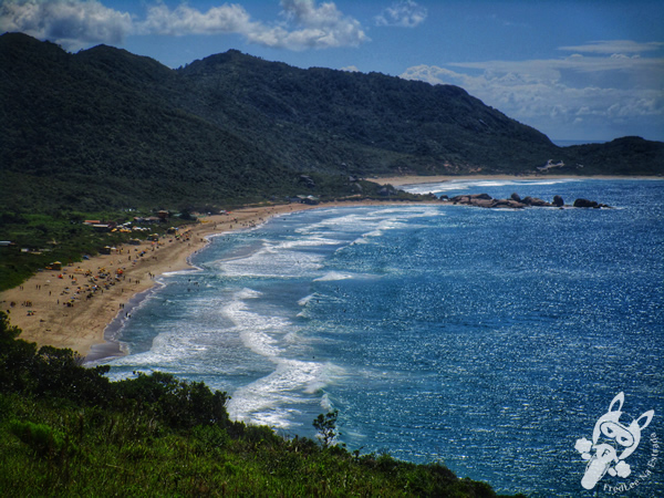 Trilha da Praia do Gravatá - Lagoa da Conceição | Florianópolis - Santa Catarina - Brasil | FredLee Na Estrada