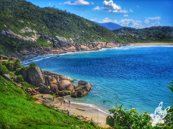Trilha da Praia do Gravatá - Lagoa da Conceição | Florianópolis - Santa Catarina - Brasil | FredLee Na Estrada