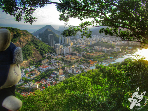Morro da Urca - Urca | Rio de Janeiro - Rio de Janeiro - Brasil | FredLee Na Estrada