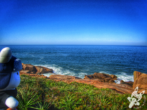 Trilha da Praia do Rosa à Praia Vermelha | Imbituba e Garopaba - Santa Catarina - Brasil | FredLee Na Estrada