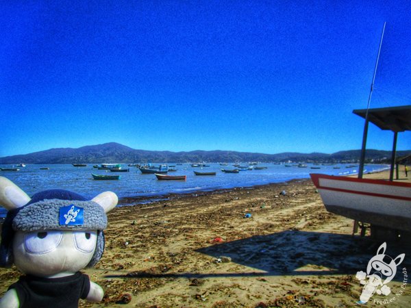 Praia do Canto Grande | Bombinhas - Santa Catarina - Brasil | FredLee Na Estrada