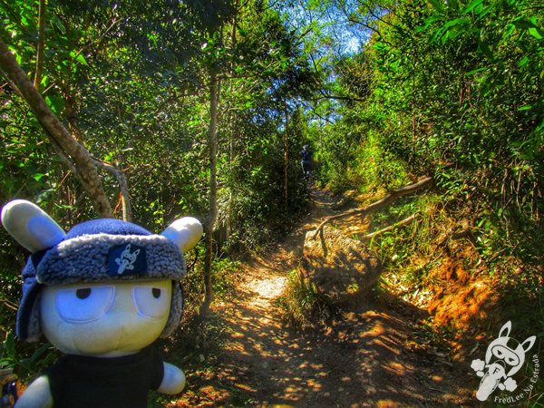 Trilha Ecológica Morro do Macaco | Bombinhas - Santa Catarina - Brasil | FredLee Na Estrada