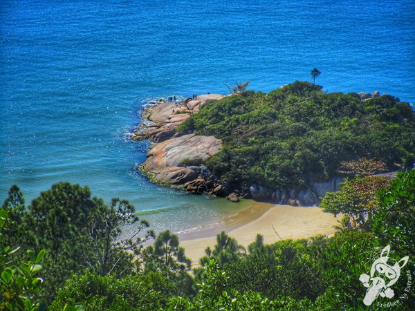 Trilha Ecológica Morro do Macaco | Bombinhas - Santa Catarina - Brasil | FredLee Na Estrada