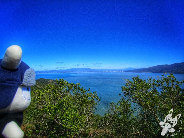 Morro do Macaco | Bombinhas - Santa Catarina - Brasil | FredLee Na Estrada