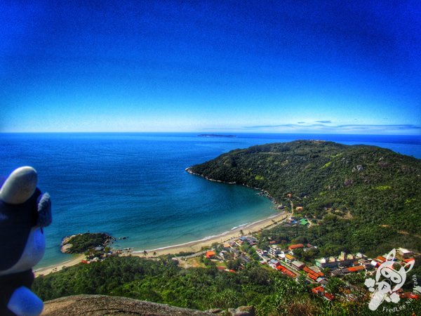 Morro do Macaco | Bombinhas - Santa Catarina - Brasil | FredLee Na Estrada