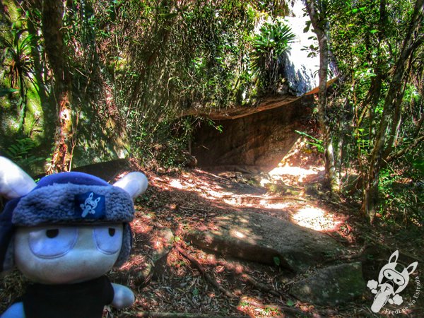 Trilha Ecológica da Tainha | Bombinhas - Santa Catarina - Brasil | FredLee Na Estrada