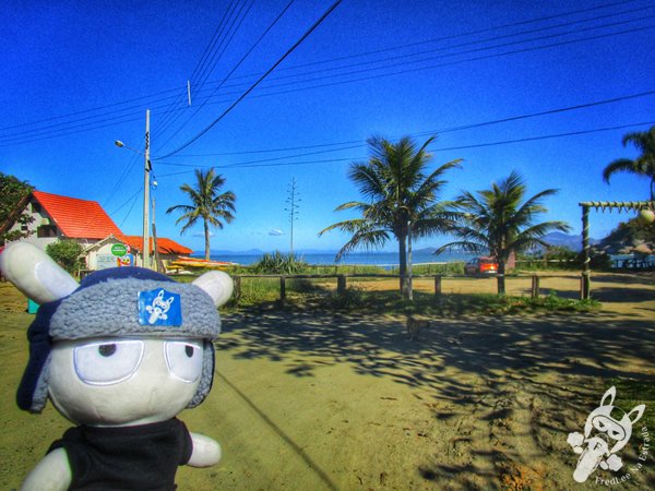 Praia da Tainha | Bombinhas - Santa Catarina - Brasil | FredLee Na Estrada