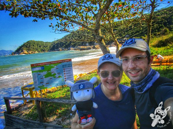 Praia da Tainha | Bombinhas - Santa Catarina - Brasil | FredLee Na Estrada